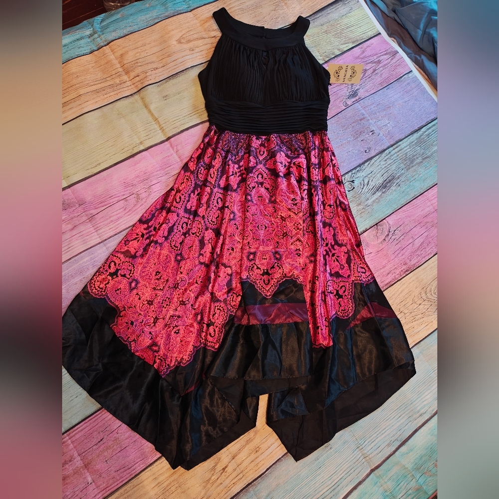 New Size 12 Sangria Dress #0311